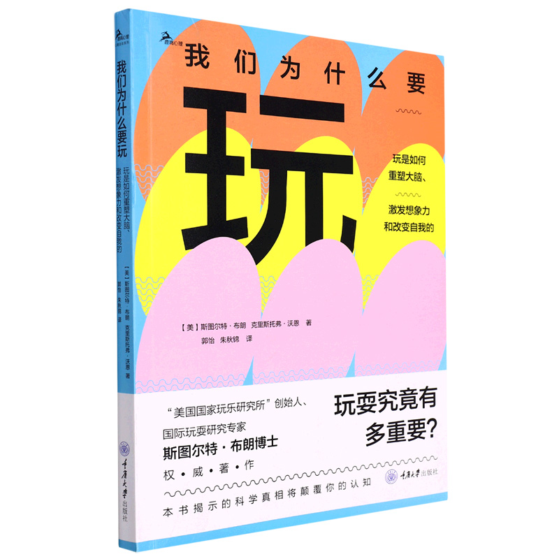 我们为什么要玩：玩是如何重塑大脑，激发想象力和改变自我的