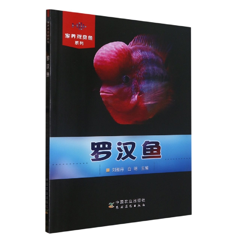 家养观赏鱼系列：罗汉鱼(家养观赏鱼系列）