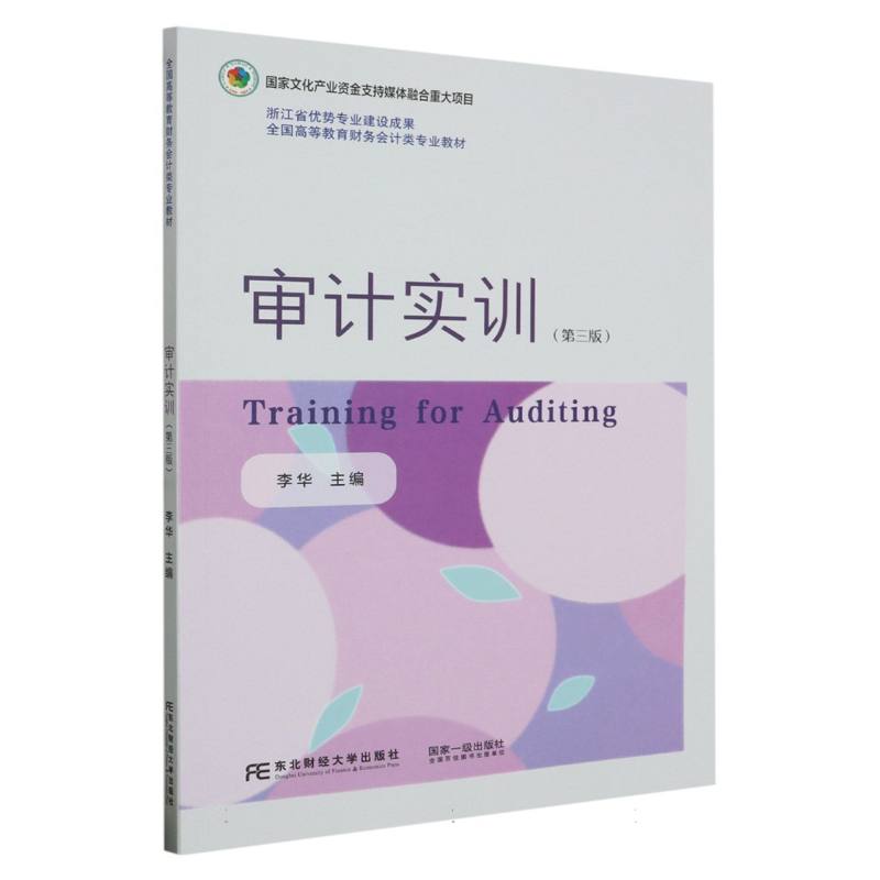 审计实训（第三版）