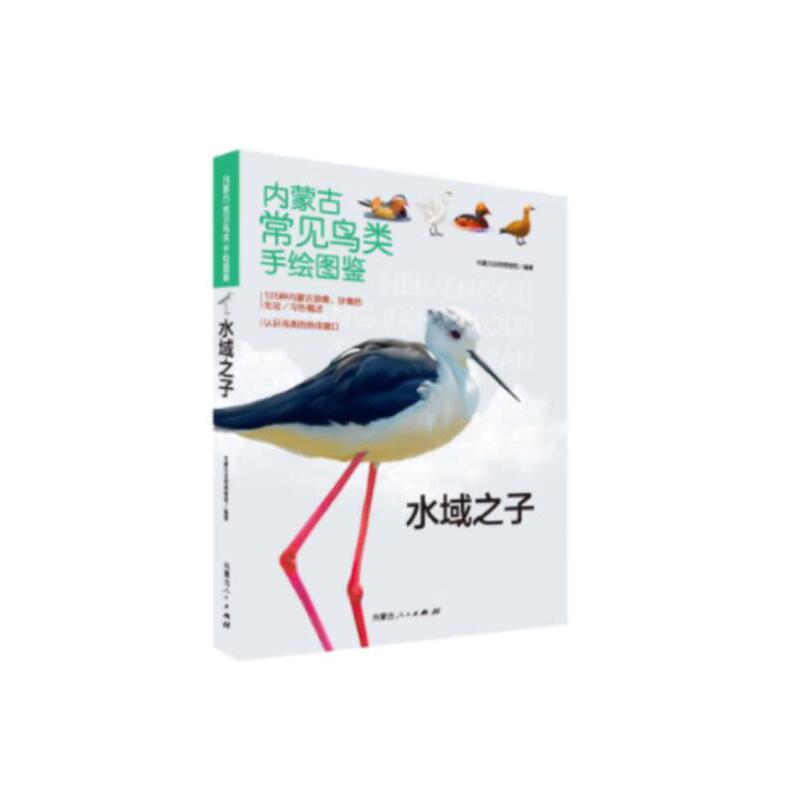 内蒙古常见鸟类手绘图鉴-水域之子