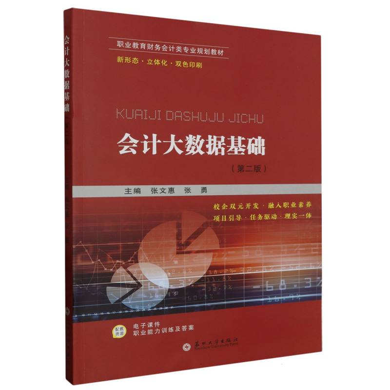 会计大数据基础（第二版）（全国版）