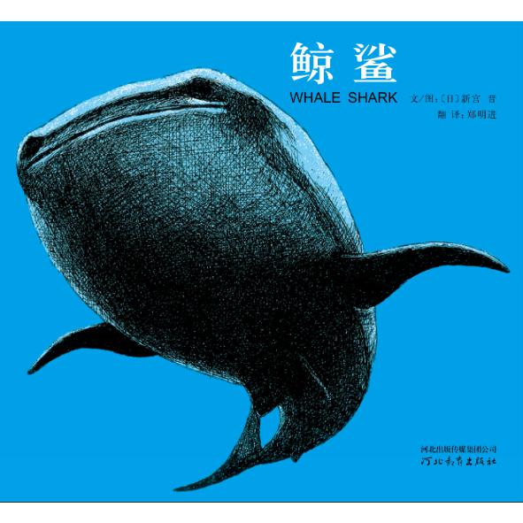 鲸鲨（新）