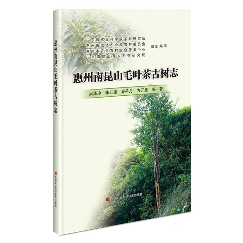 惠州南昆山毛叶茶古树志