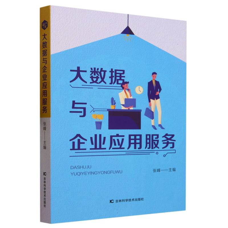 大数据与企业应用服务