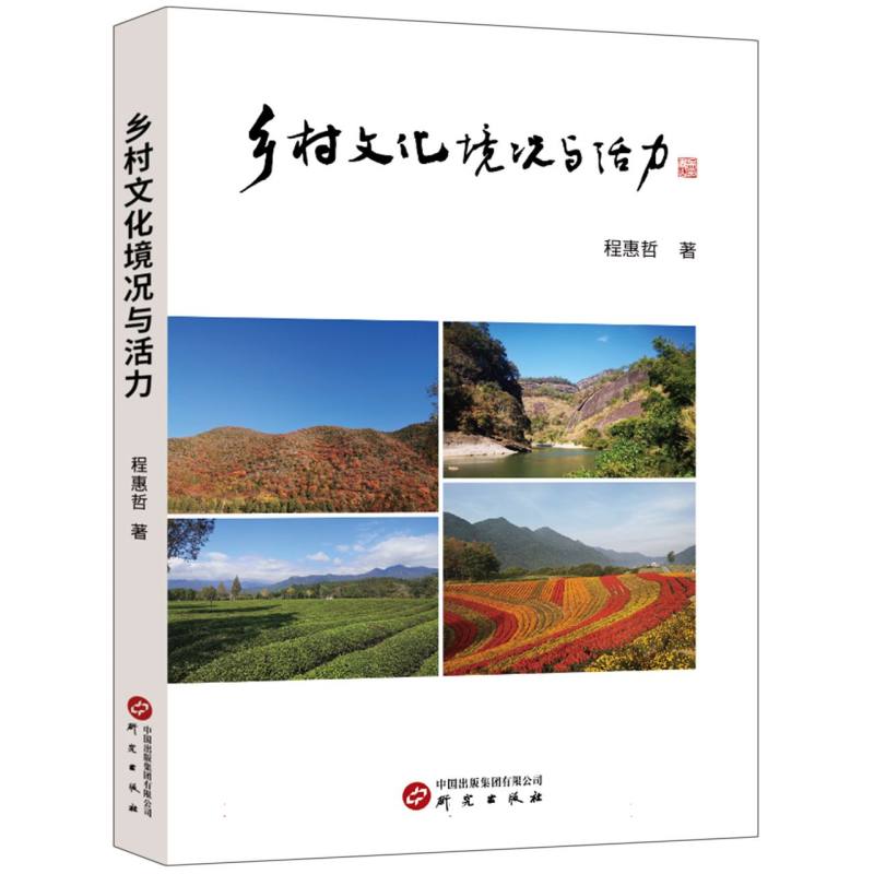 乡村文化境况与活力
