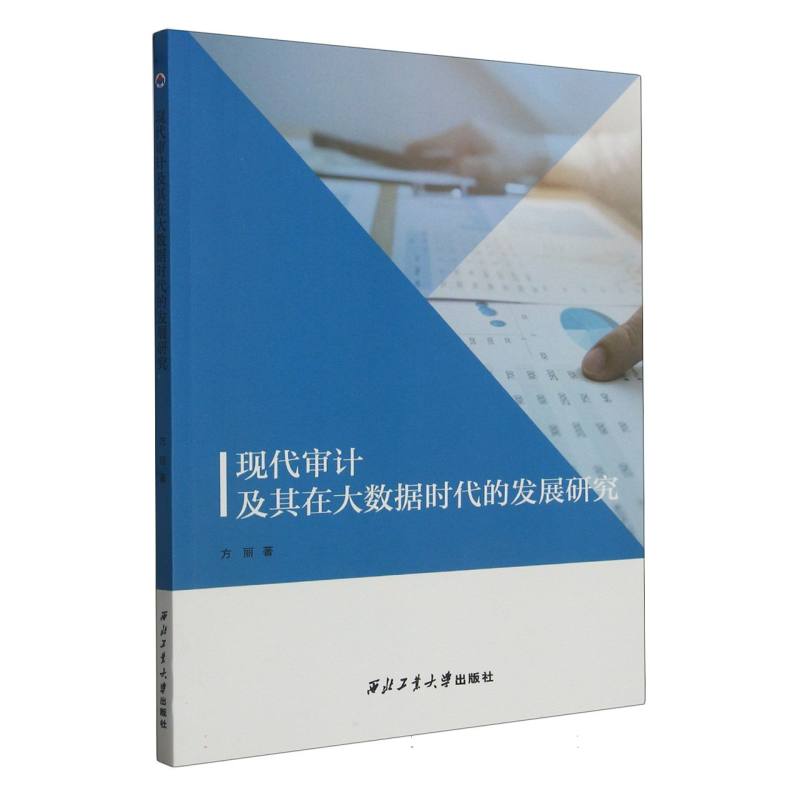 现代审计及其在大数据时代的发展研究