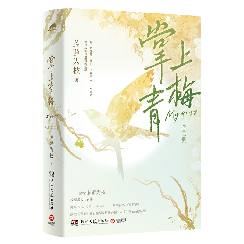 掌上青梅 亲签版飞机盒