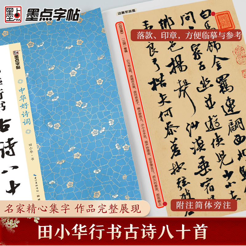 墨点字帖：中华好诗词·田小华行书古诗八十首