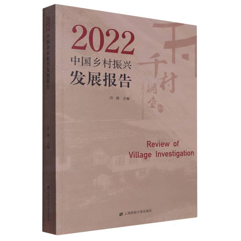 2022中国乡村振兴发展报告