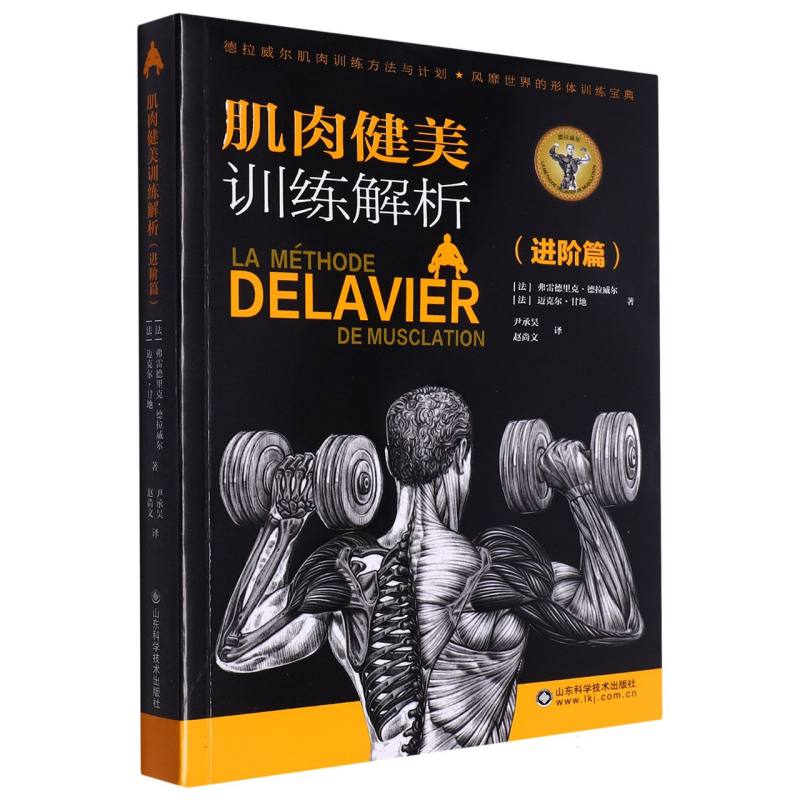 肌肉健美训练解析(进阶篇)
