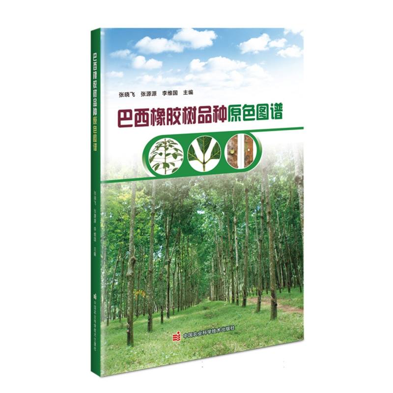 巴西橡胶树品种原色图谱