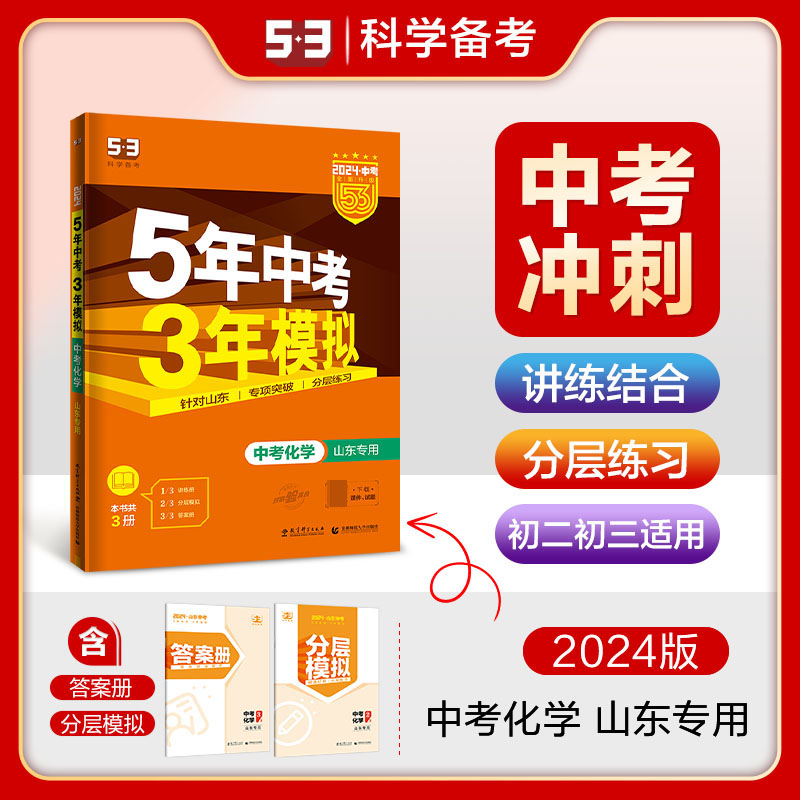 2024版《5.3》中考山东版  化学