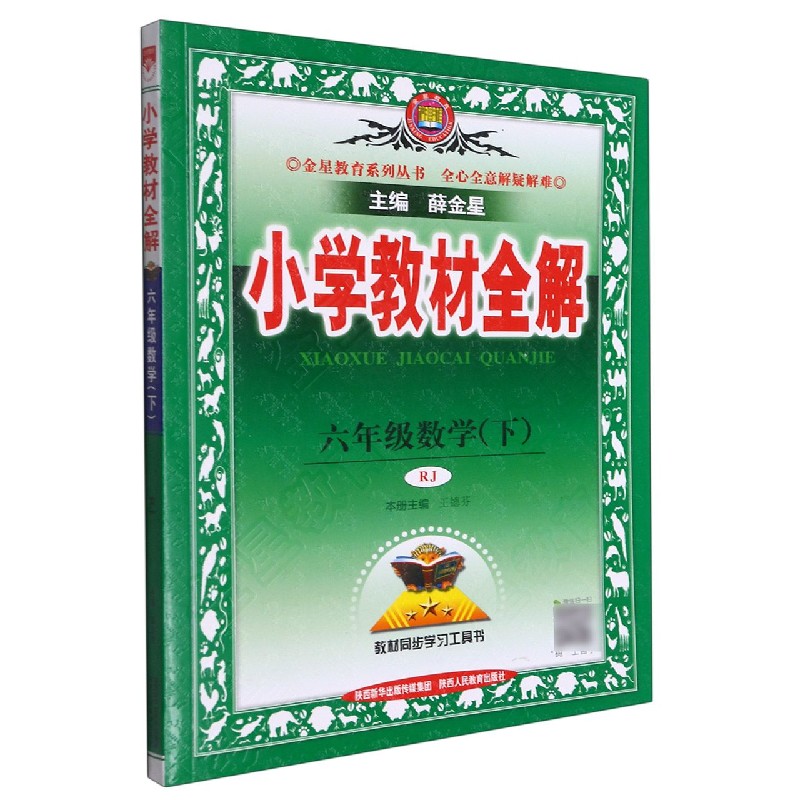21N小学教材全解·六年级数学下（RJ版）21x