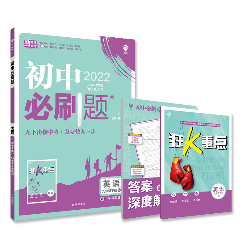 英语（9下RJ2022）/初中必刷题