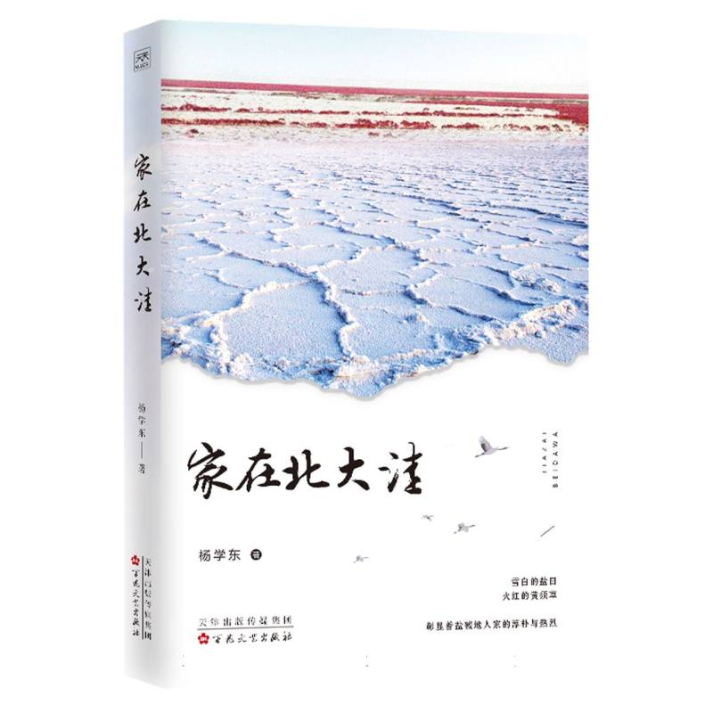 家在北大洼
