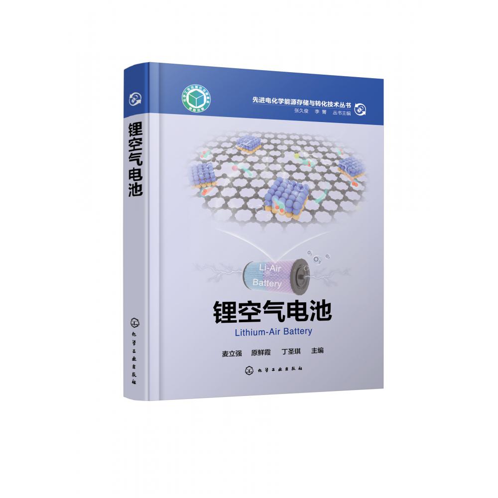 先进电化学能源存储与转化技术丛书--锂空气电池