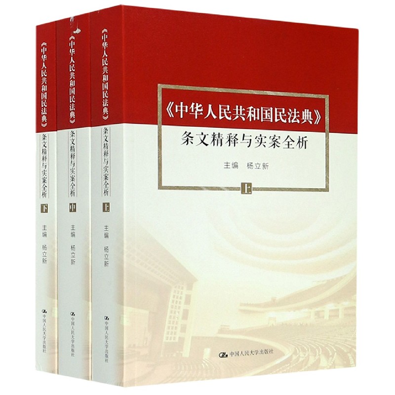 中华人民共和国民法典条文精释与实案全析(上中下)