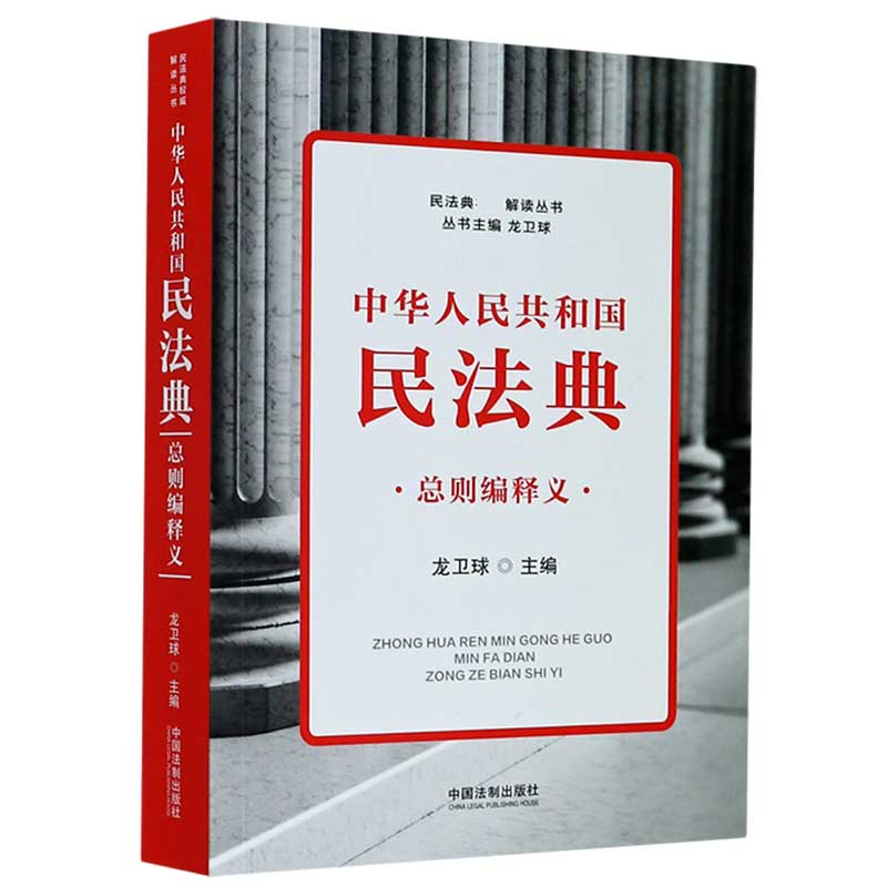 中华人民共和国民法典总则编释义/民法典解读丛书