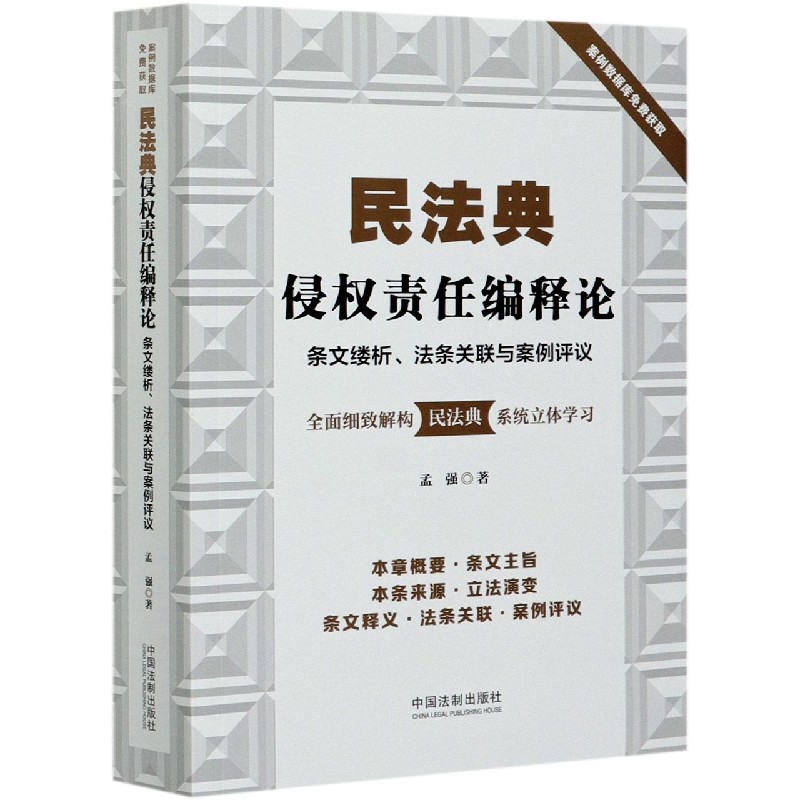 民法典侵权责任编释论(条文缕析法条关联与案例评议)