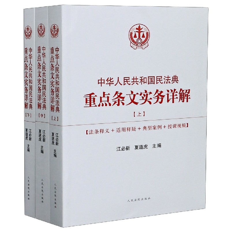 中华人民共和国民法典重点条文实务详解(上中下)