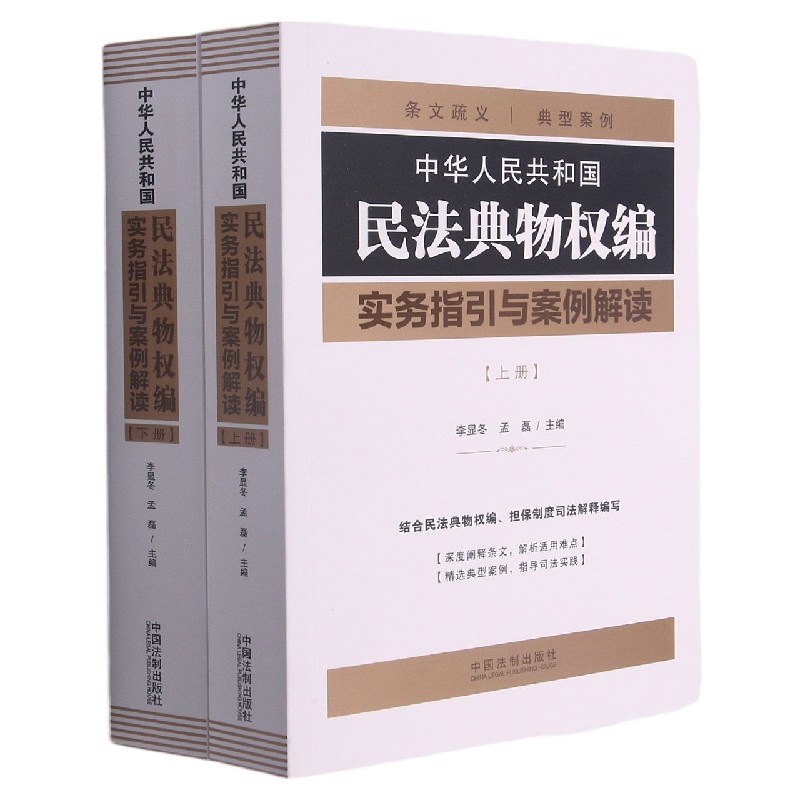 中华人民共和国民法典物权编实务指引与案例解读(上下)