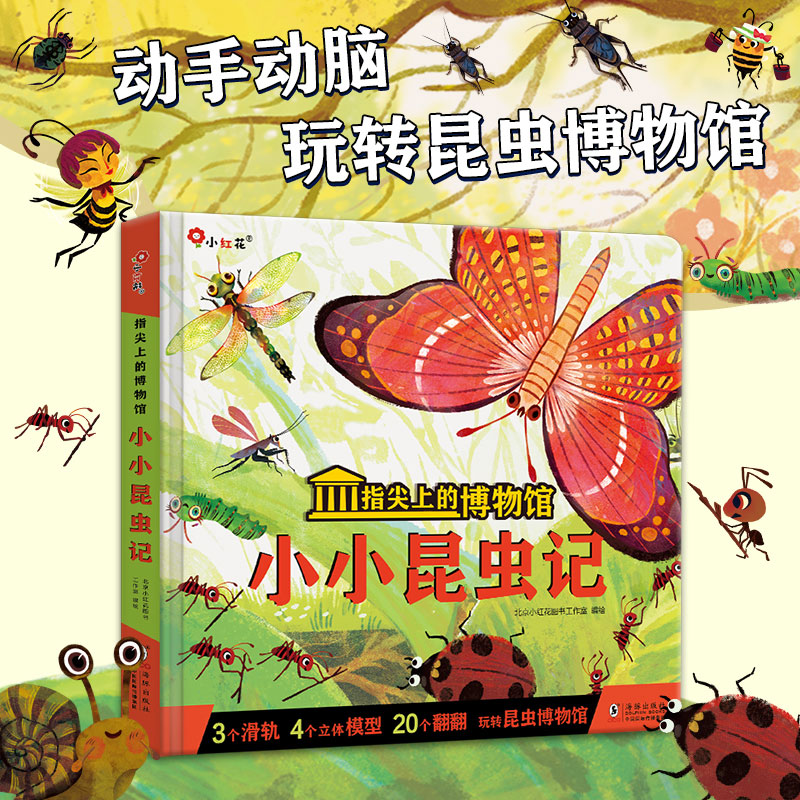 指尖上的博物馆-小小昆虫记