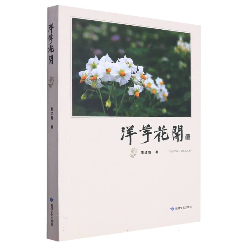 洋芋花开