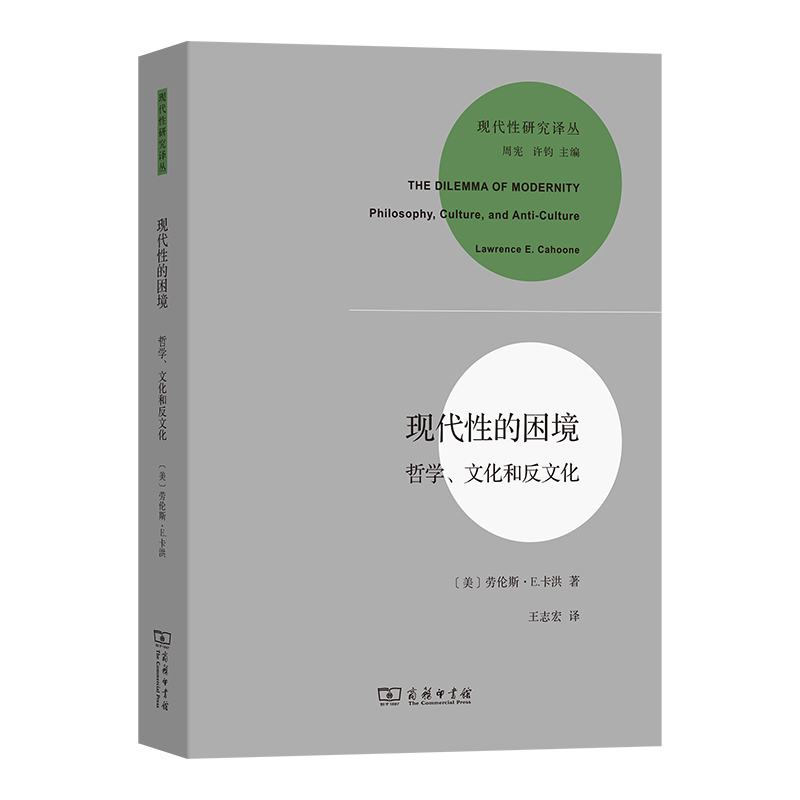 现代性的困境--哲学文化和反文化/现代性研究译丛