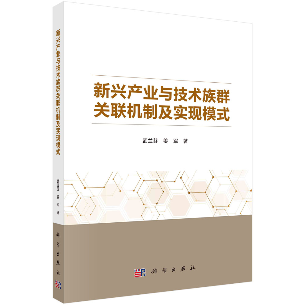 新兴产业与技术族群关联机制及实现模式