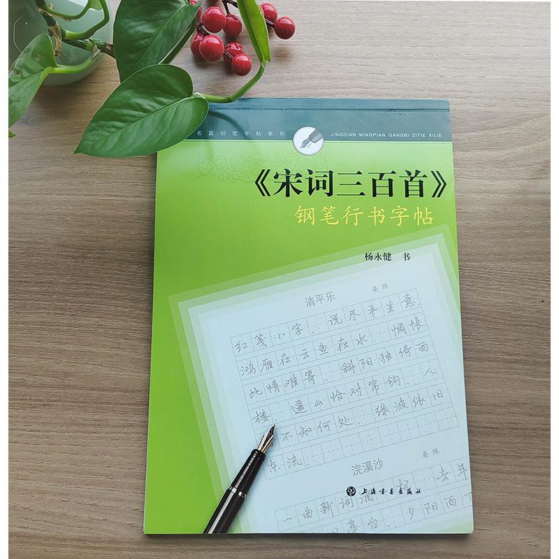 经典名篇钢笔字帖系列·《宋词三百首》钢笔行书字帖