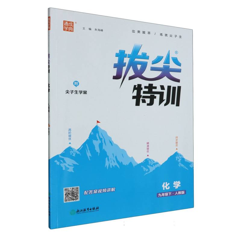 化学（9下人教版）/拔尖特训