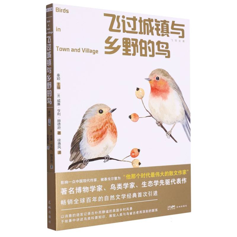 飞过城镇与乡野的鸟