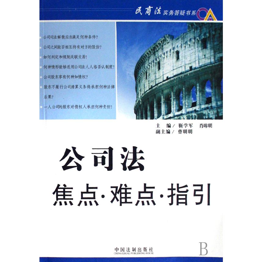 公司法焦点难点指引/民商法实务答疑书系