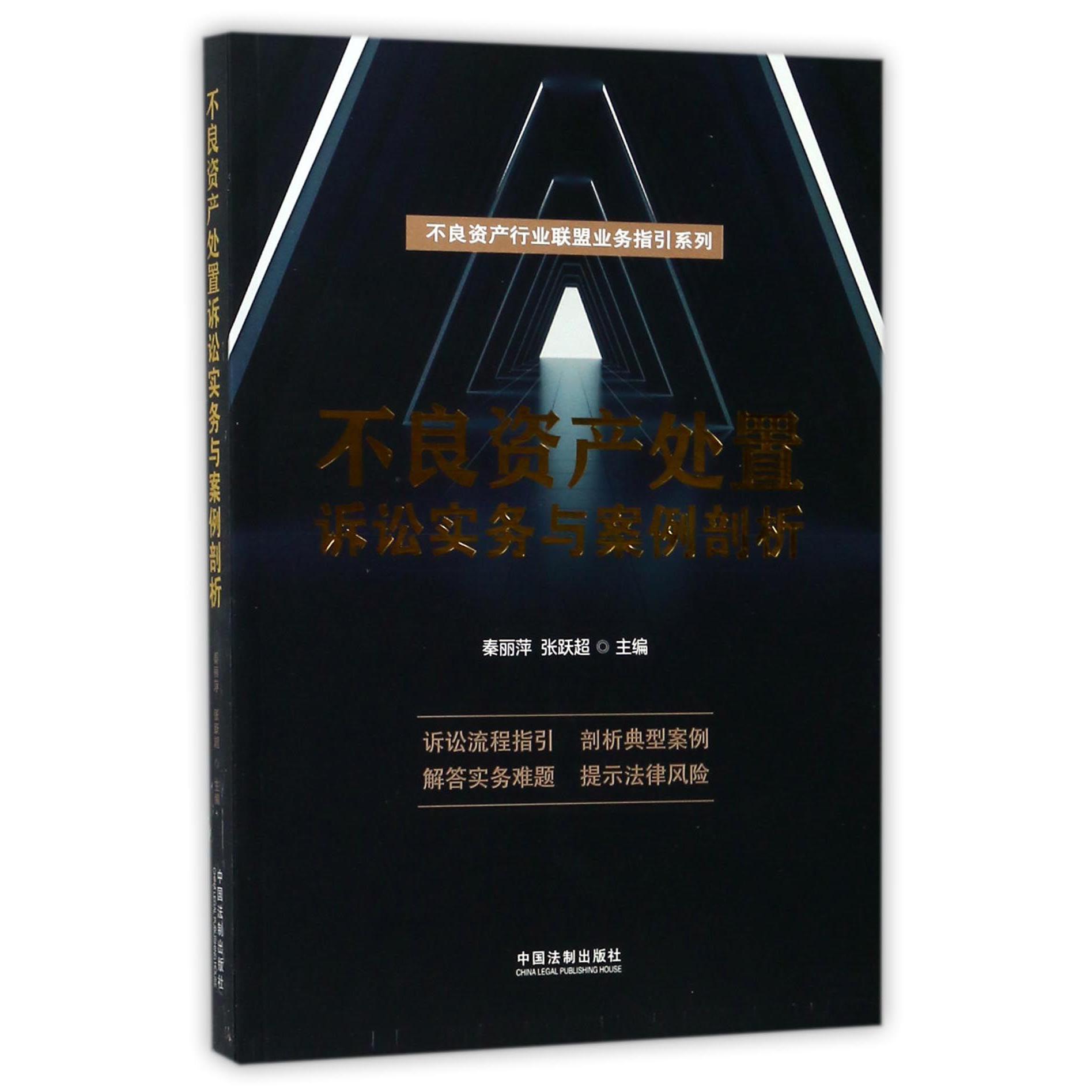 不良资产处置诉讼实务与案例剖析/不良资产行业联盟业务指引系列