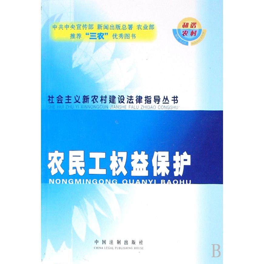 农民工权益保护/社会主义新农村建设法律指导丛书