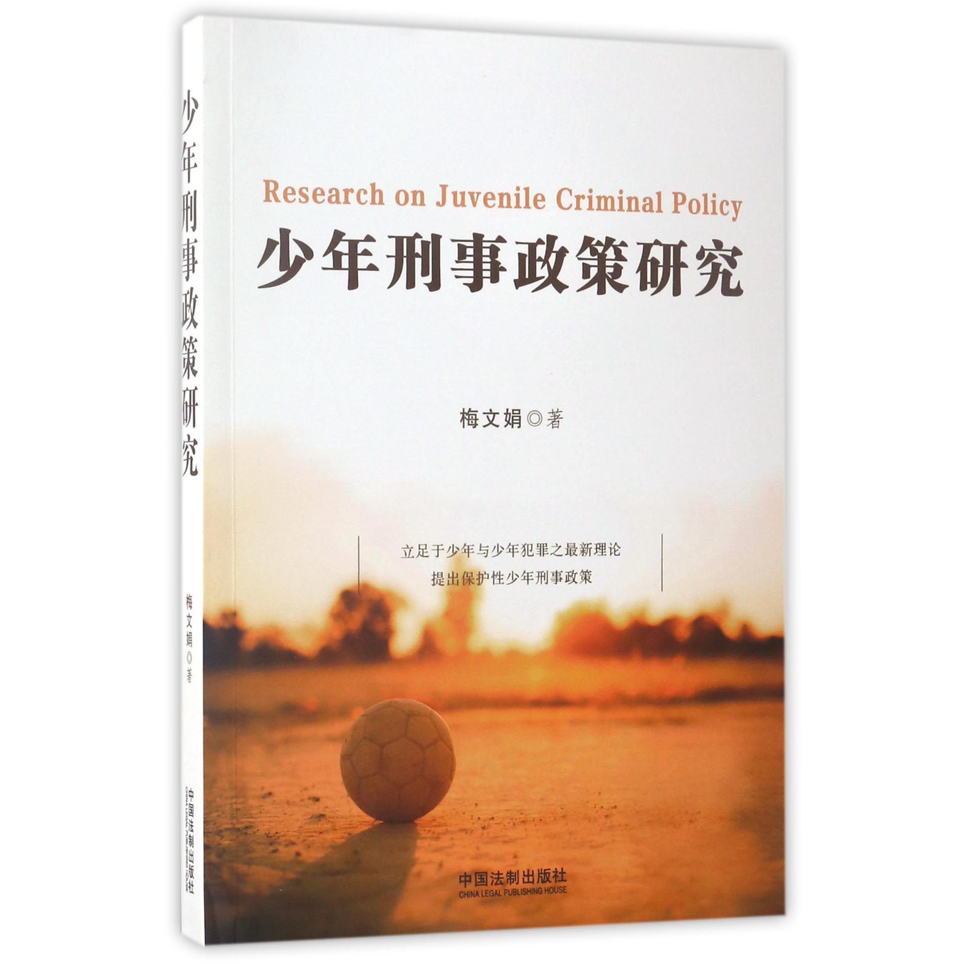 少年刑事政策研究