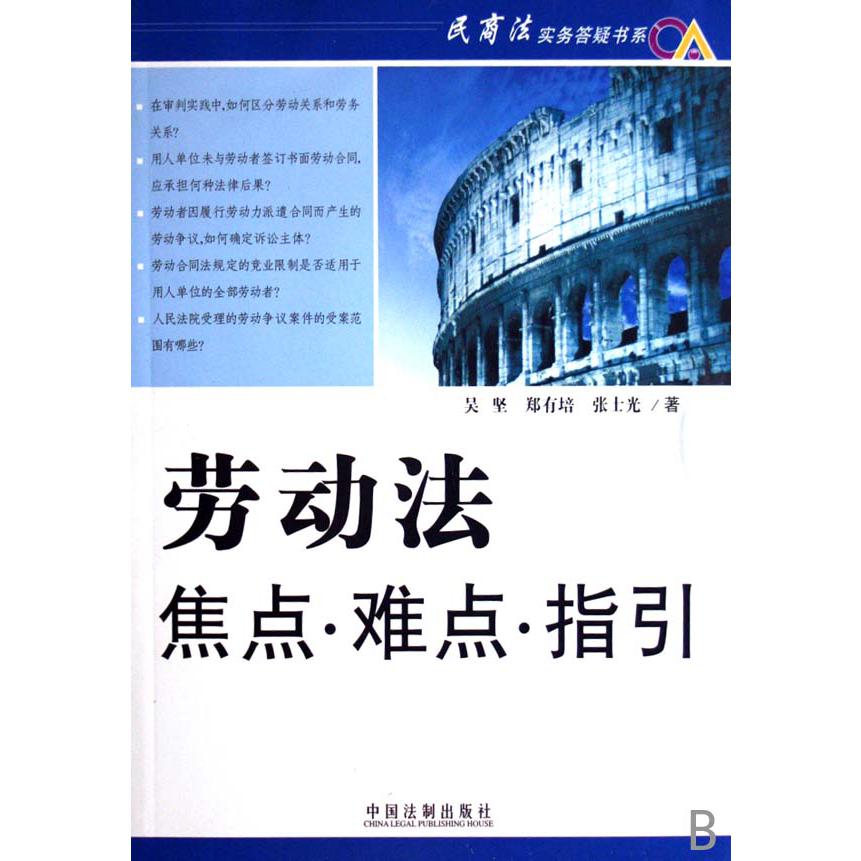 劳动法焦点难点指引/民商法实务答疑书系