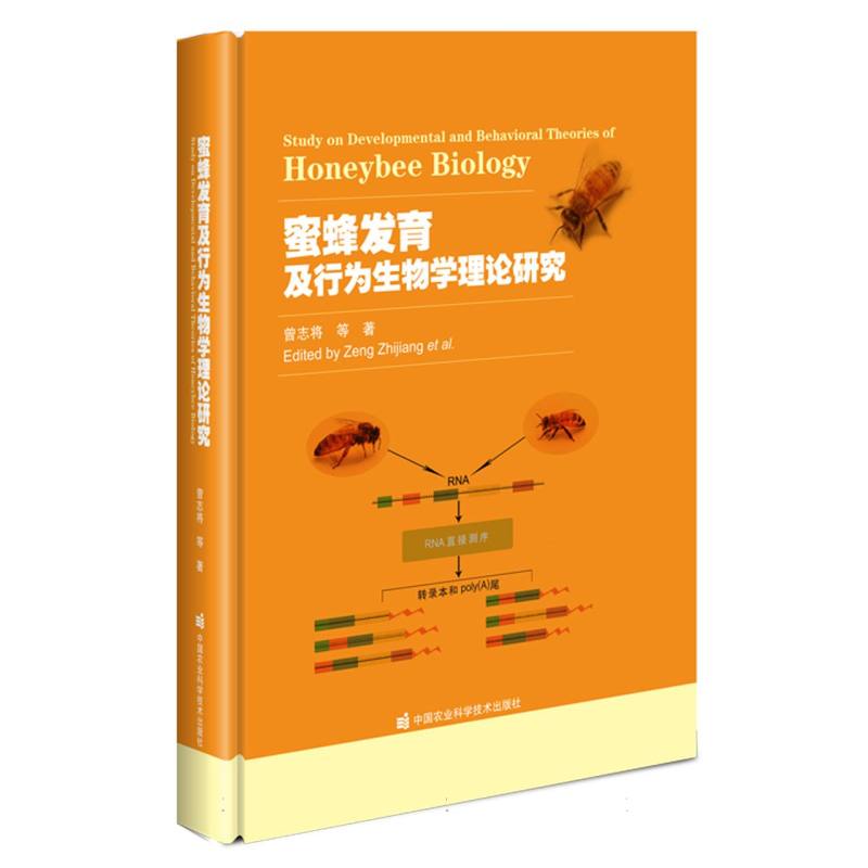 蜜蜂发育及行为生物学理论研究