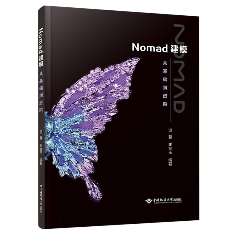 Nomad建模：从基础到进阶