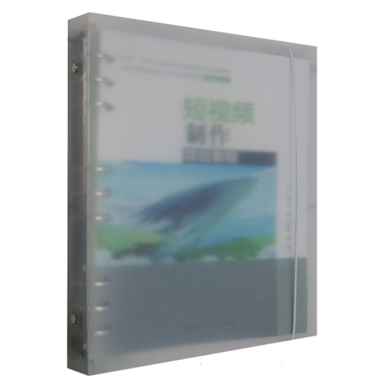 短视频制作项目教程(21世纪技能创新型人才培养系列教材·计算机系列）