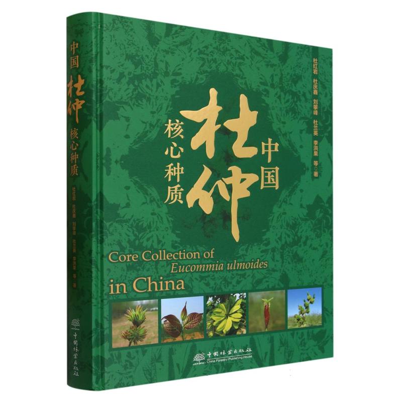 中国杜仲核心种质（精）