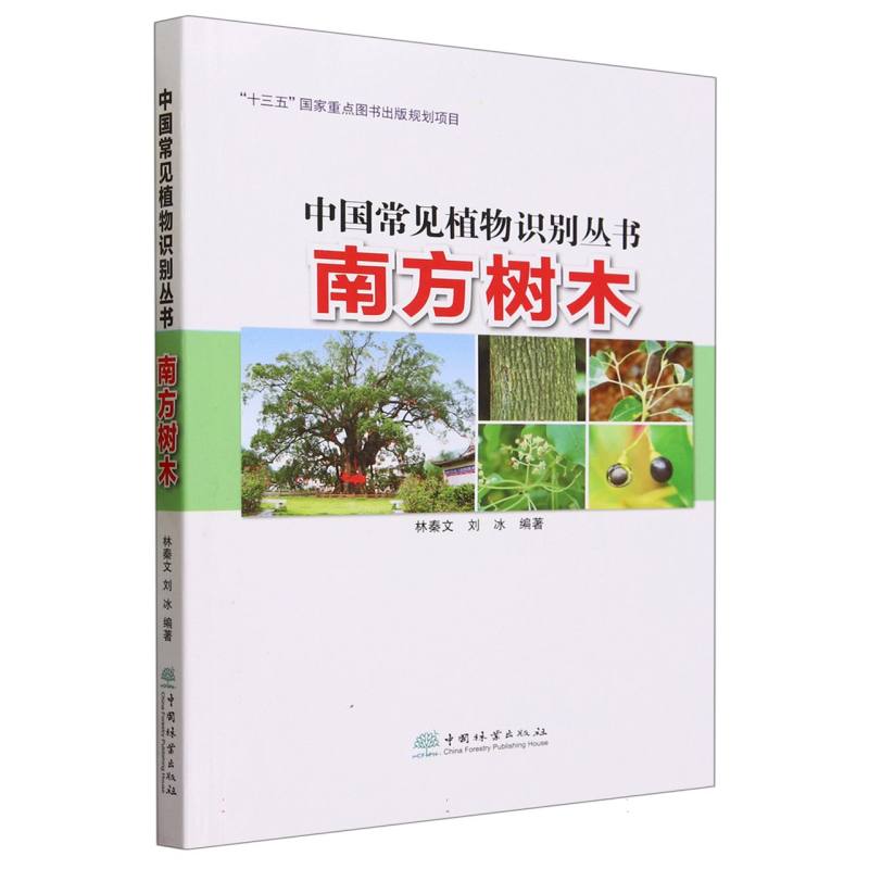 南方树木/中国常见植物识别丛书