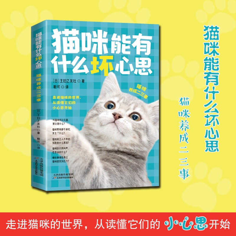 猫咪能有什么坏心思