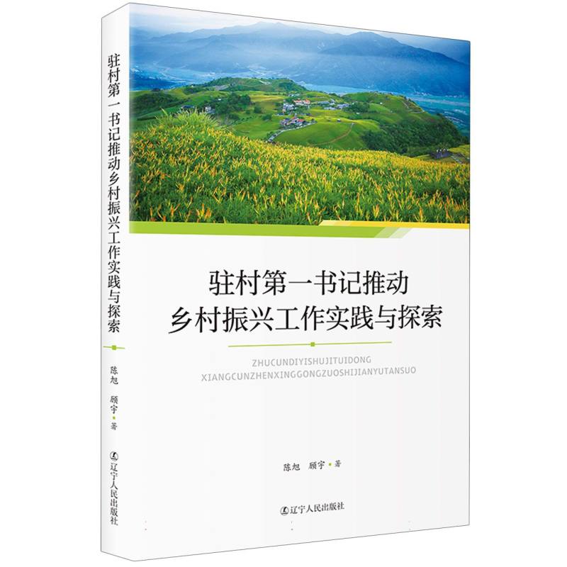 驻村第一书记推动乡村振兴工作实践与探索
