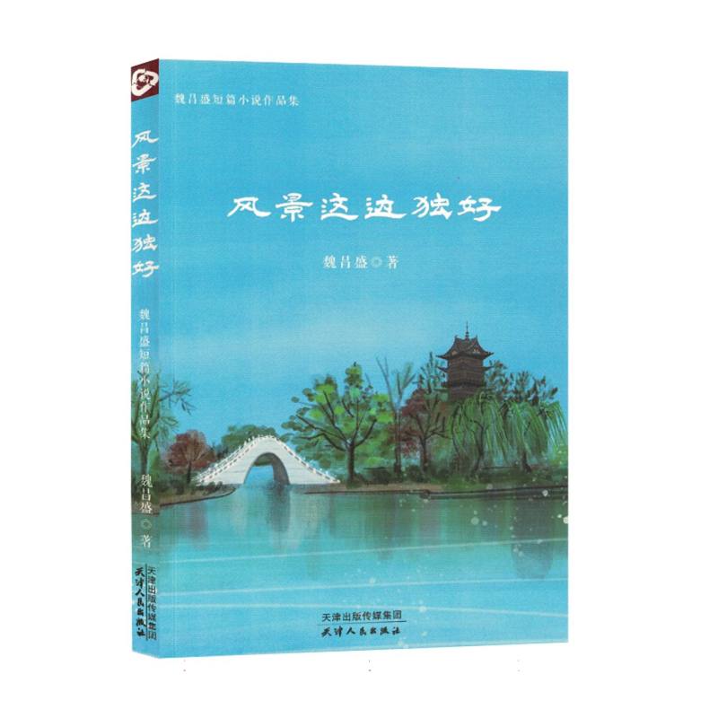 小说：风景这边独好(塑封)