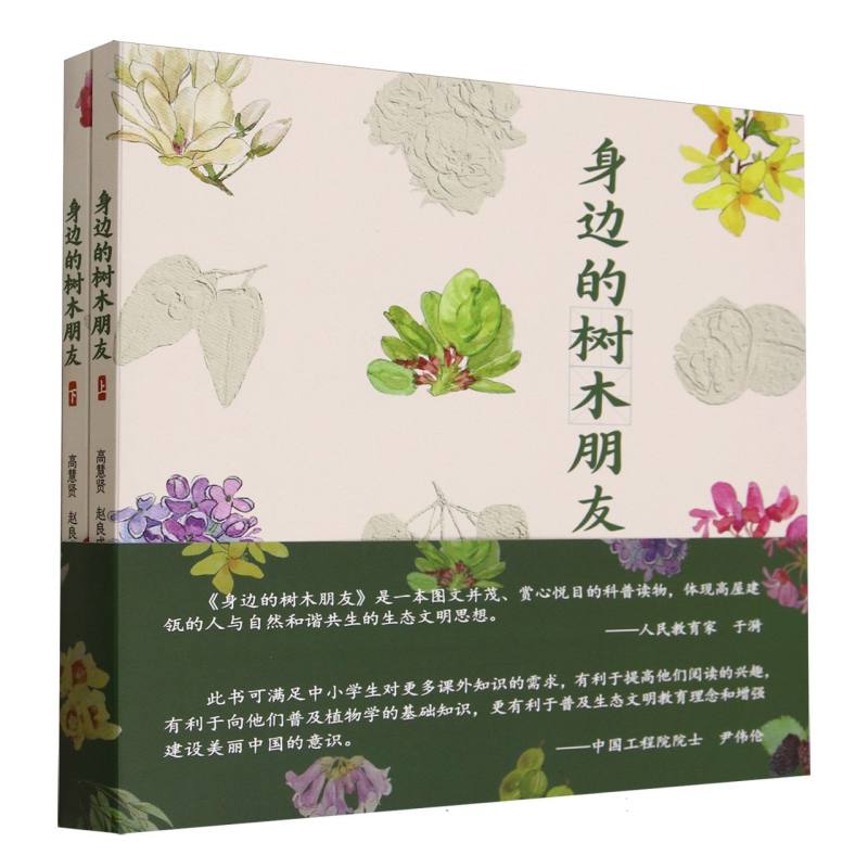 身边的树木朋友（上下）