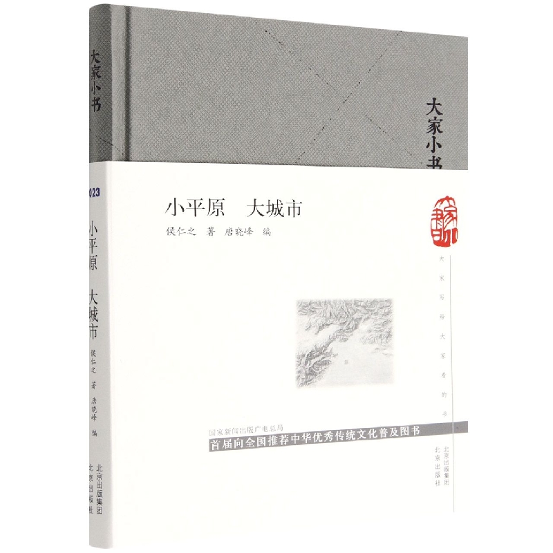 大家小书  小平原 大城市(精)