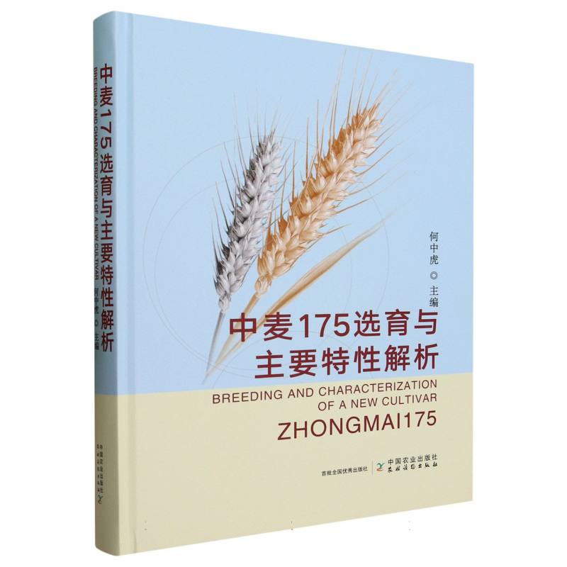 中麦175选育与主要特性解析