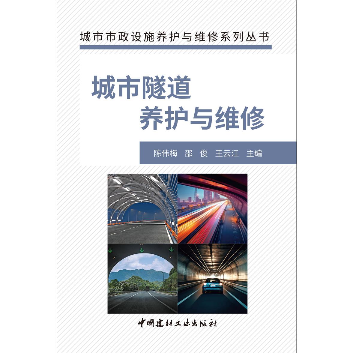 城市隧道养护与维修/城市市政设施养护与维修系列丛书