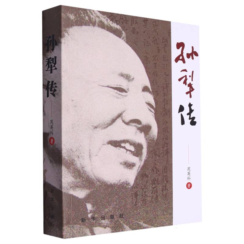 孙犁传